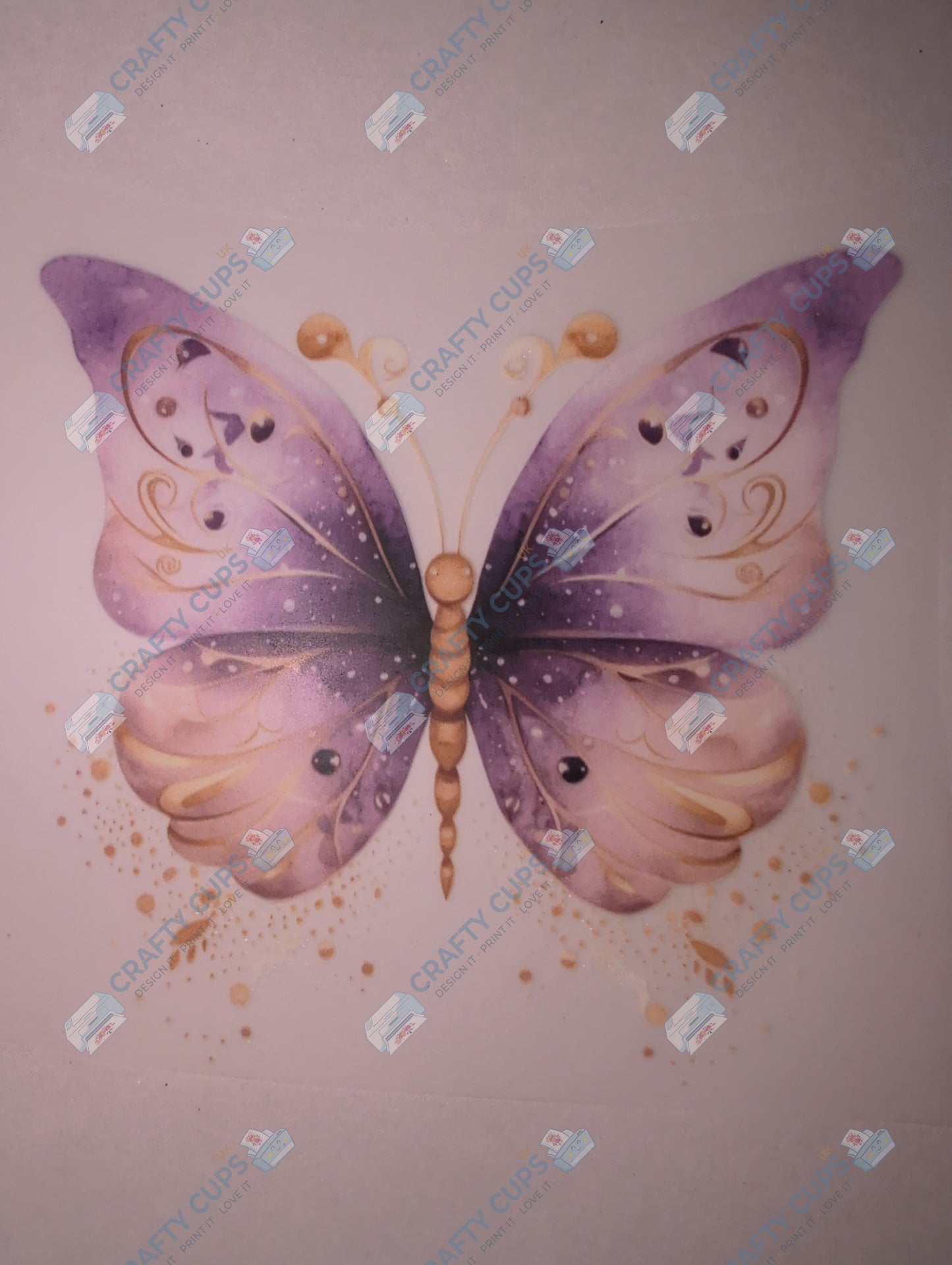 Original Image