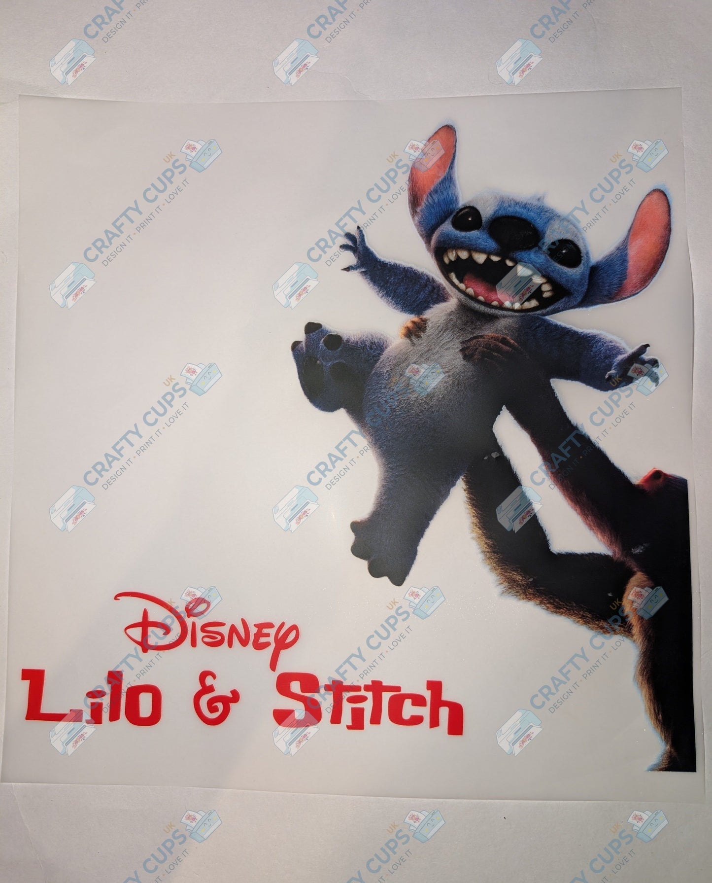 Original Image