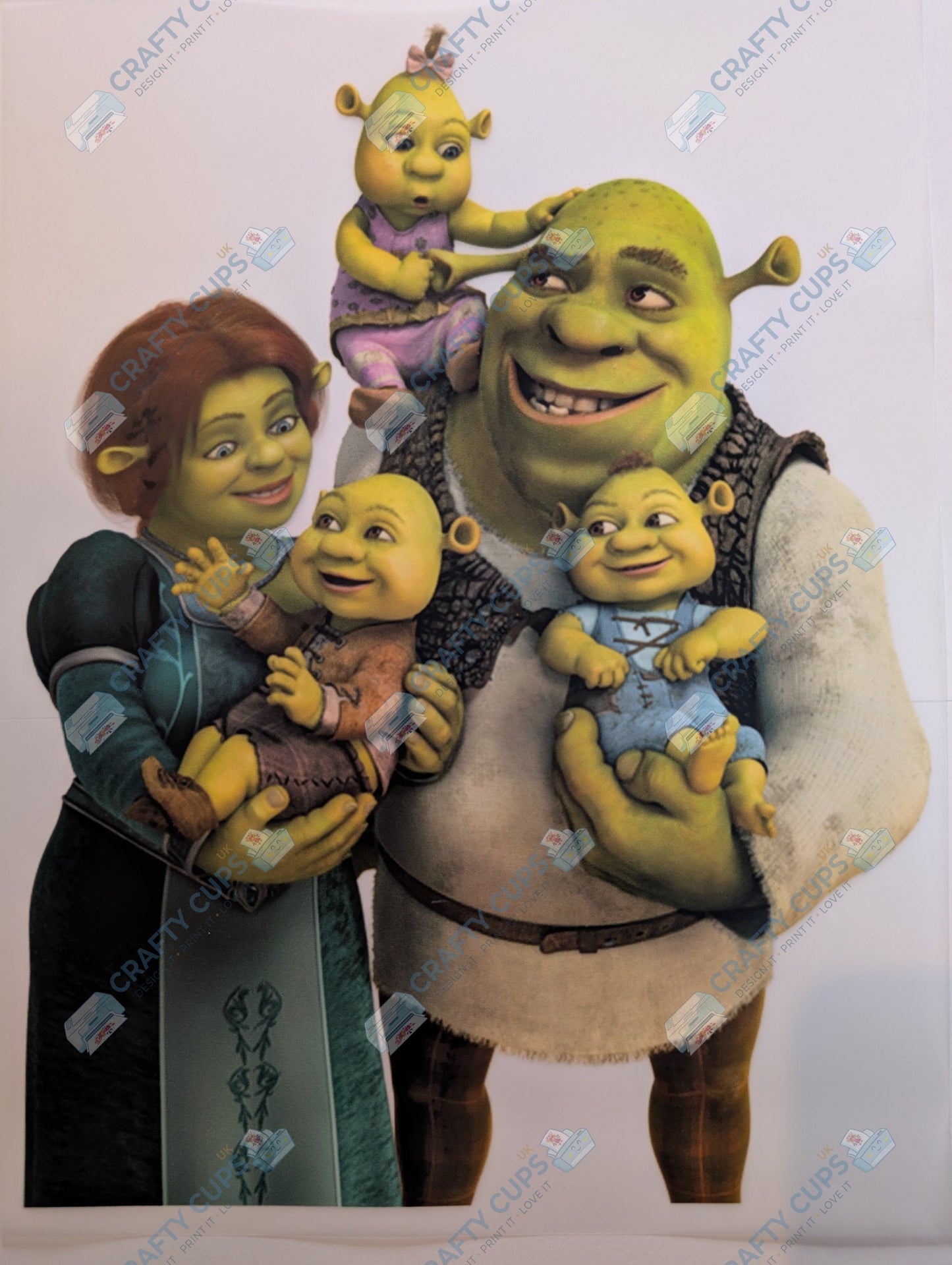 Original Image