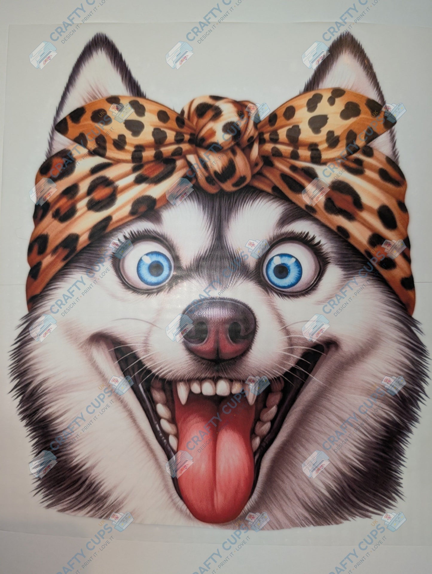 Original Image