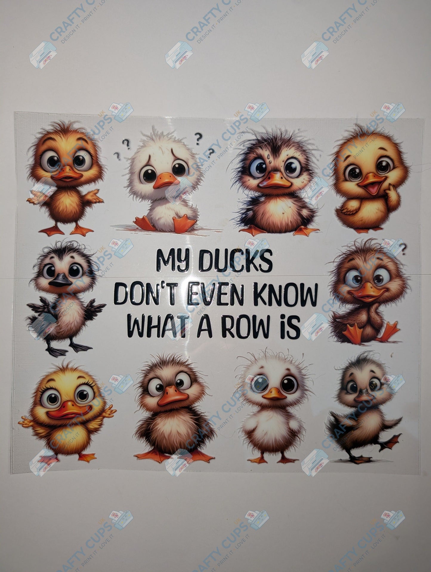 Original Image