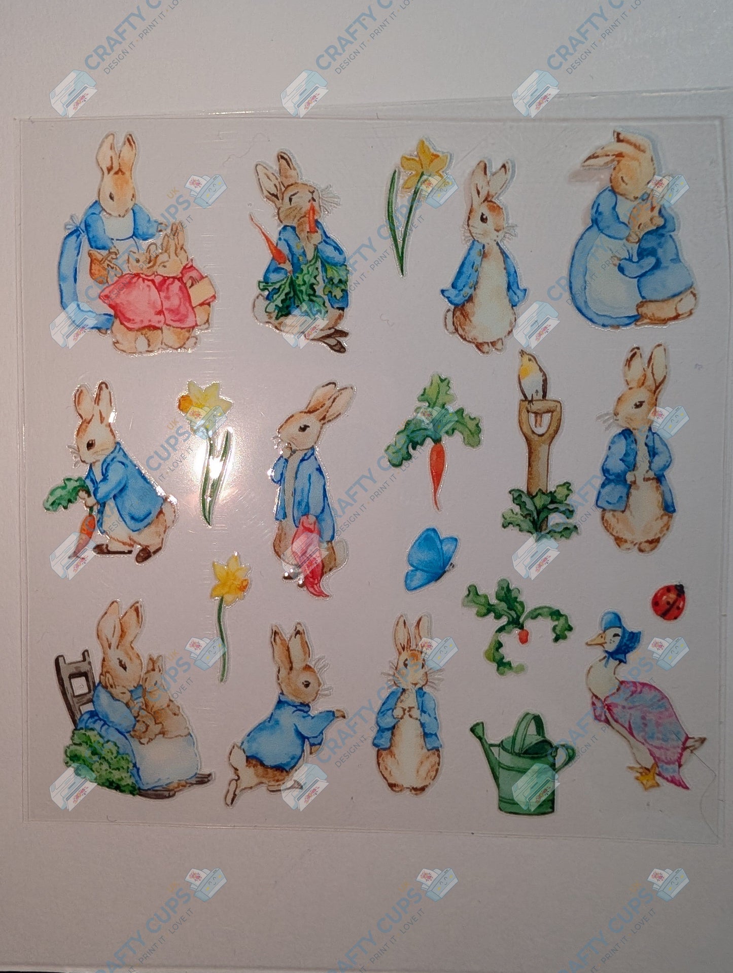 Original Image