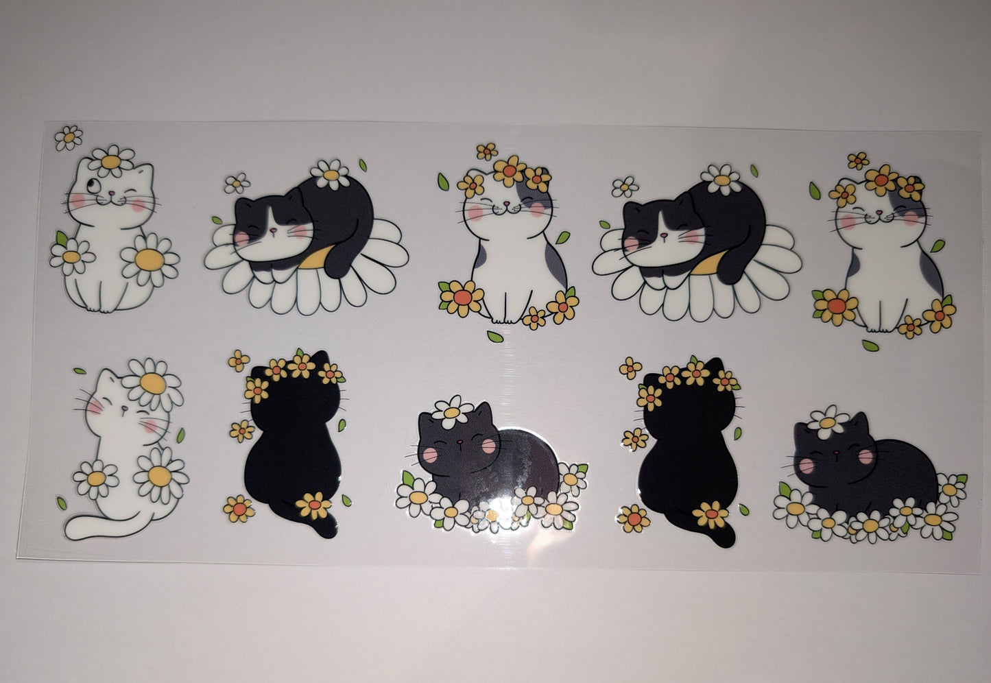 Cats 16oz UVDTF Wraps