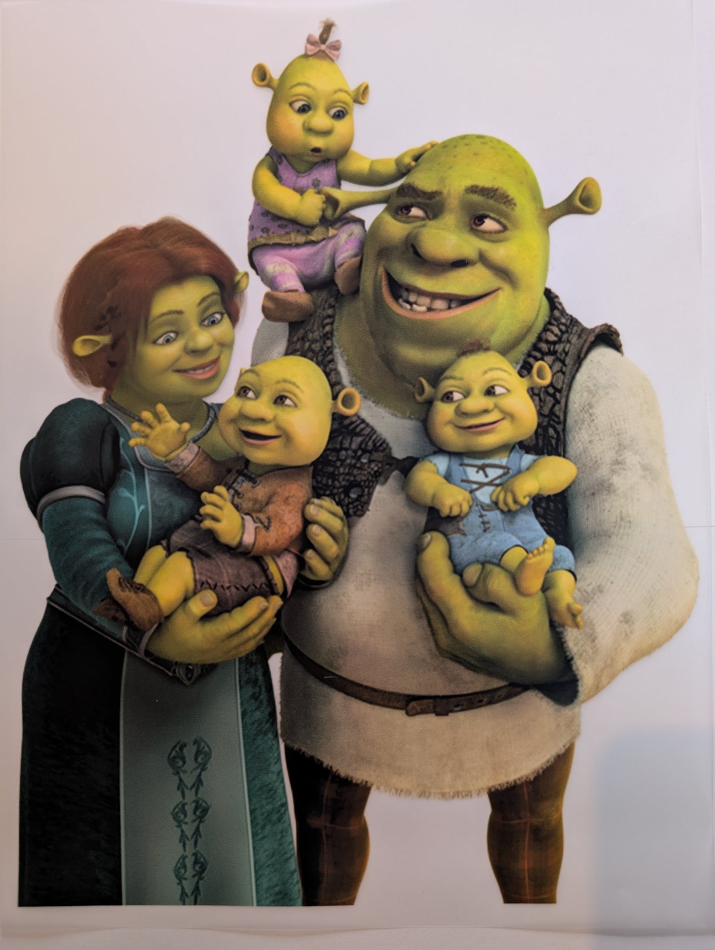 Shrek Large DTF