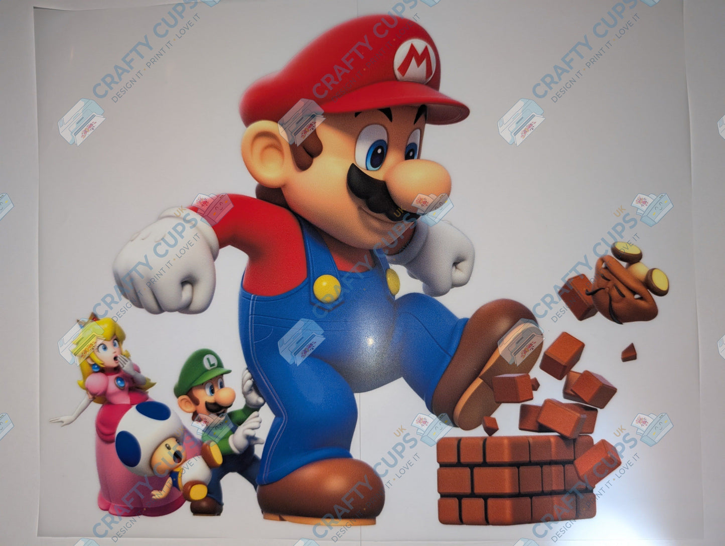 Original Image