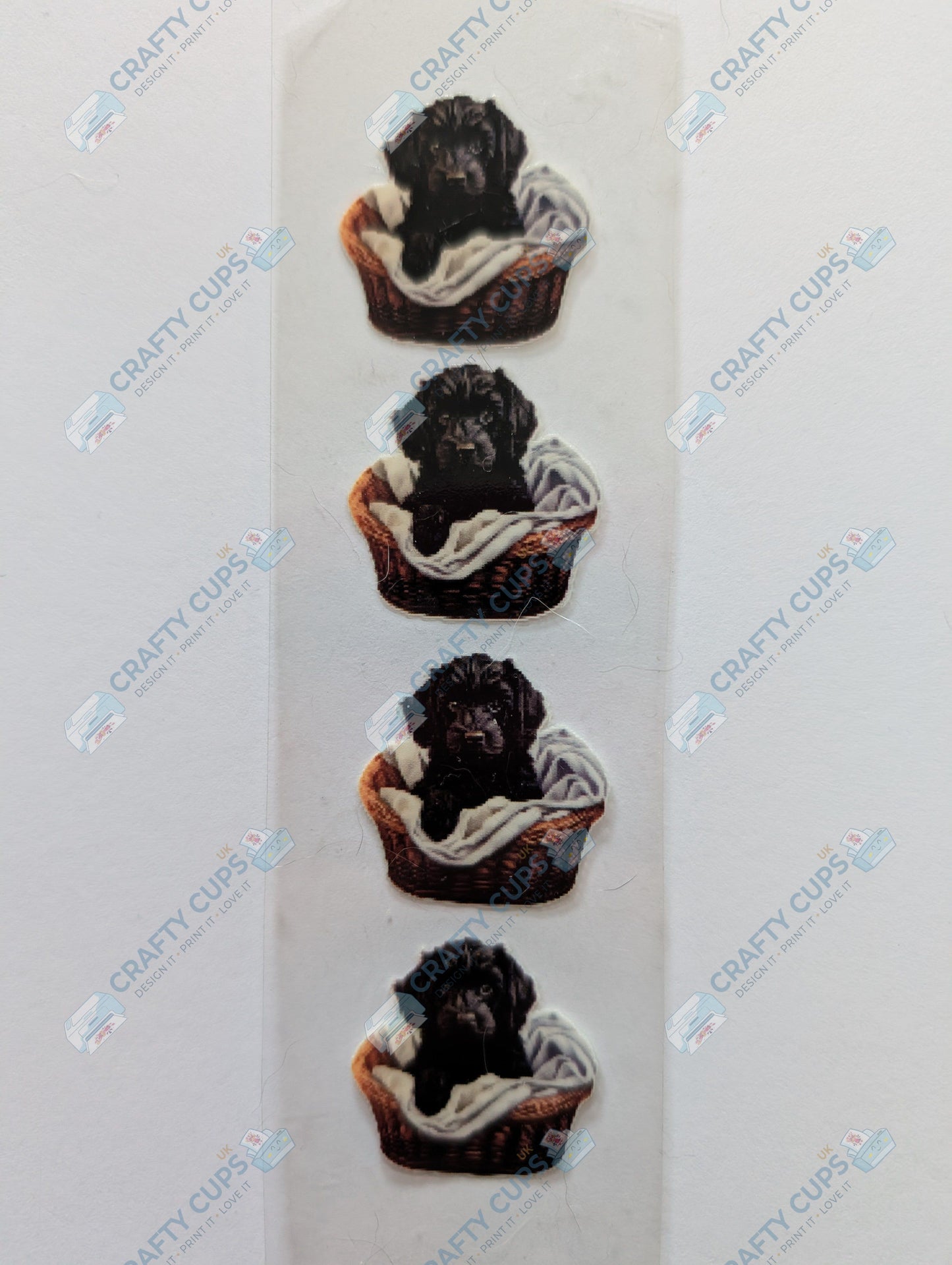 Original Image